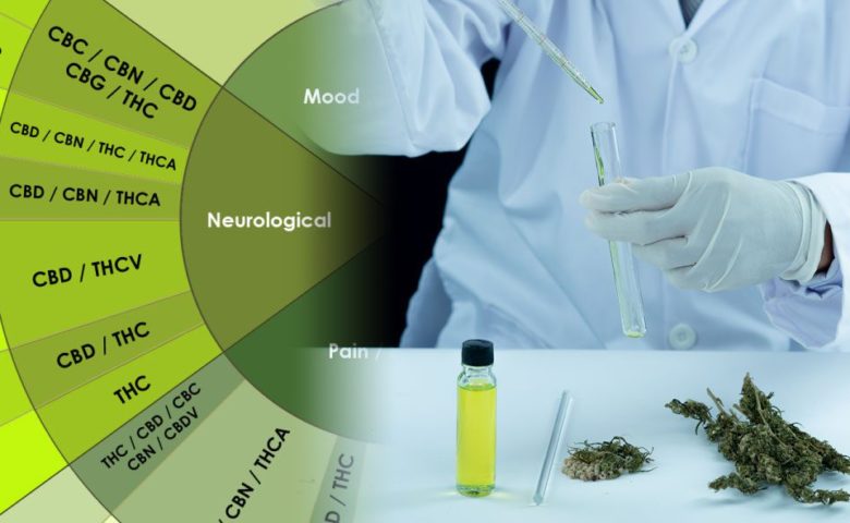 Cannabinoide und ihre Wirkung | Power of CBD