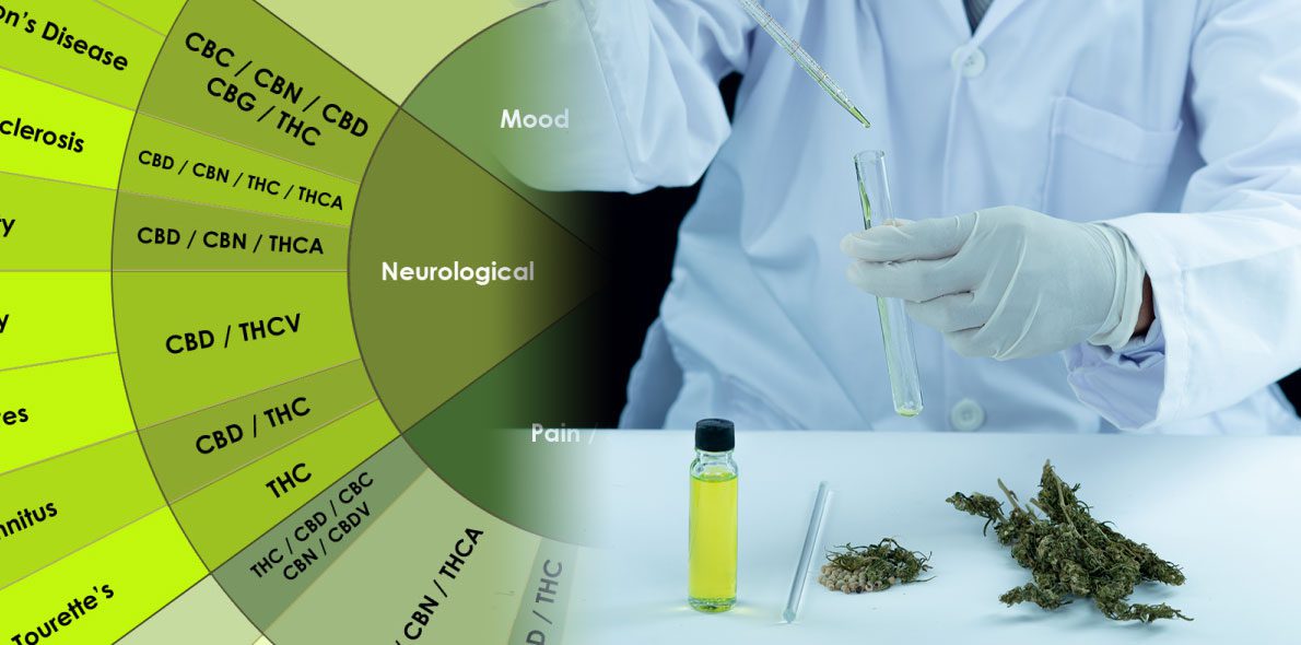 Cannabinoide und ihre Wirkung | Power of CBD